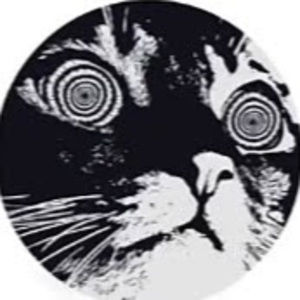 Meet your Posher, Mackenzie